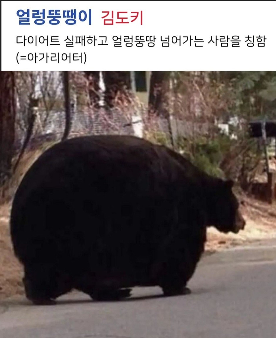 3040+) 노인공격ㄴㄴ 공경좀.👀