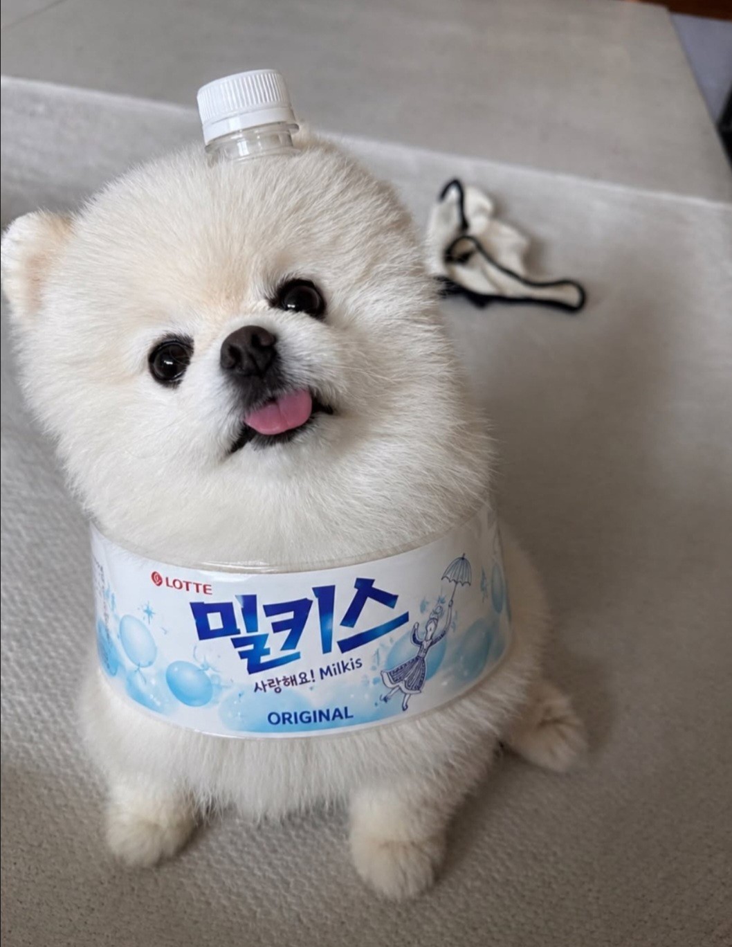 3040+) 노인공격ㄴㄴ 공경좀.👀