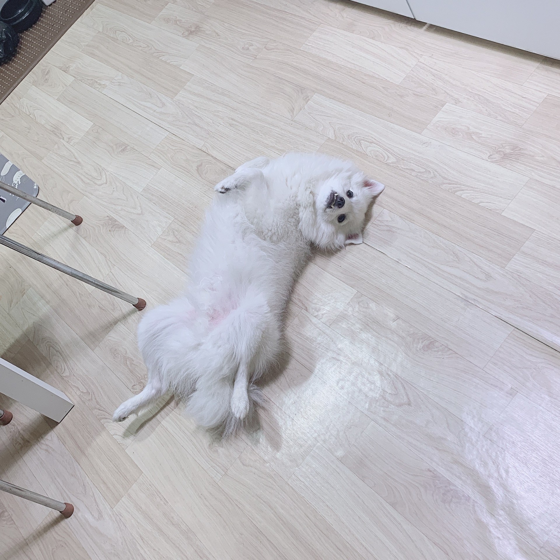 ㅜㅅㅜ