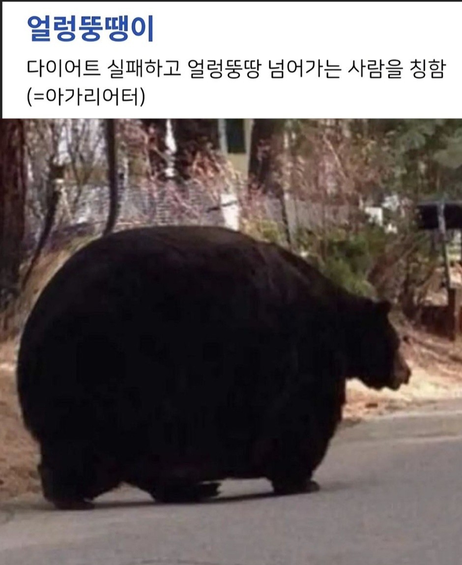 3040+) 노인공격ㄴㄴ 공경좀.👀