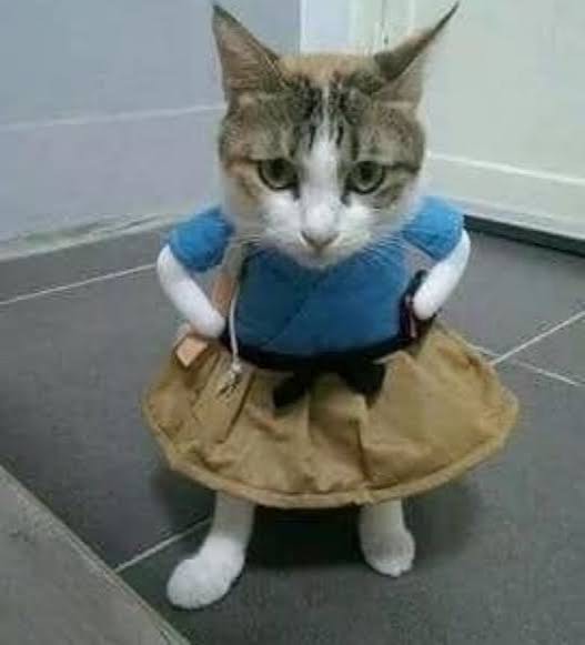 들어오세요