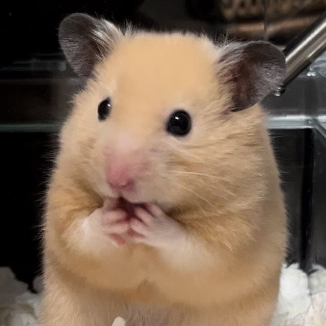 ……ㅇ