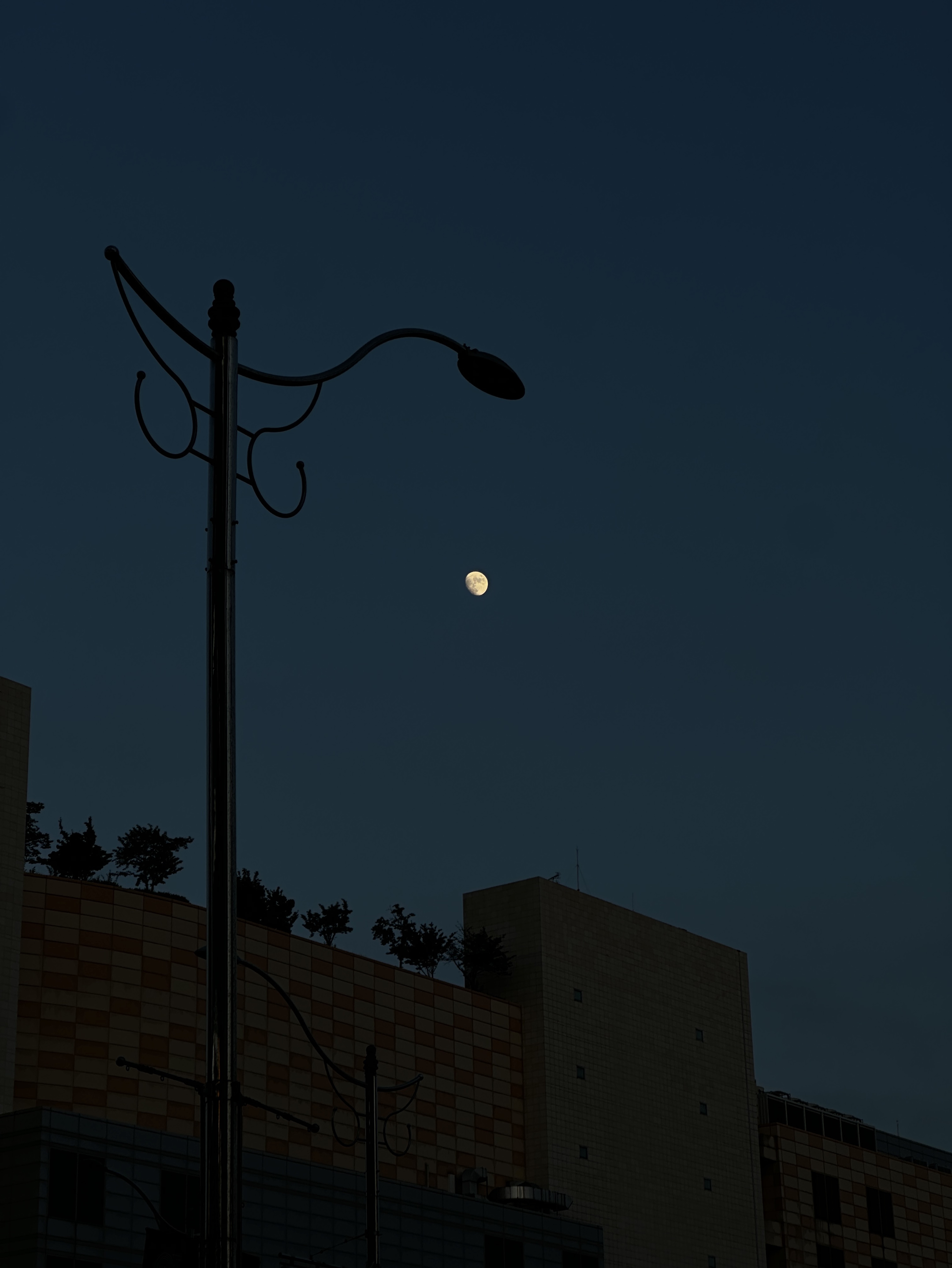 .眞實.