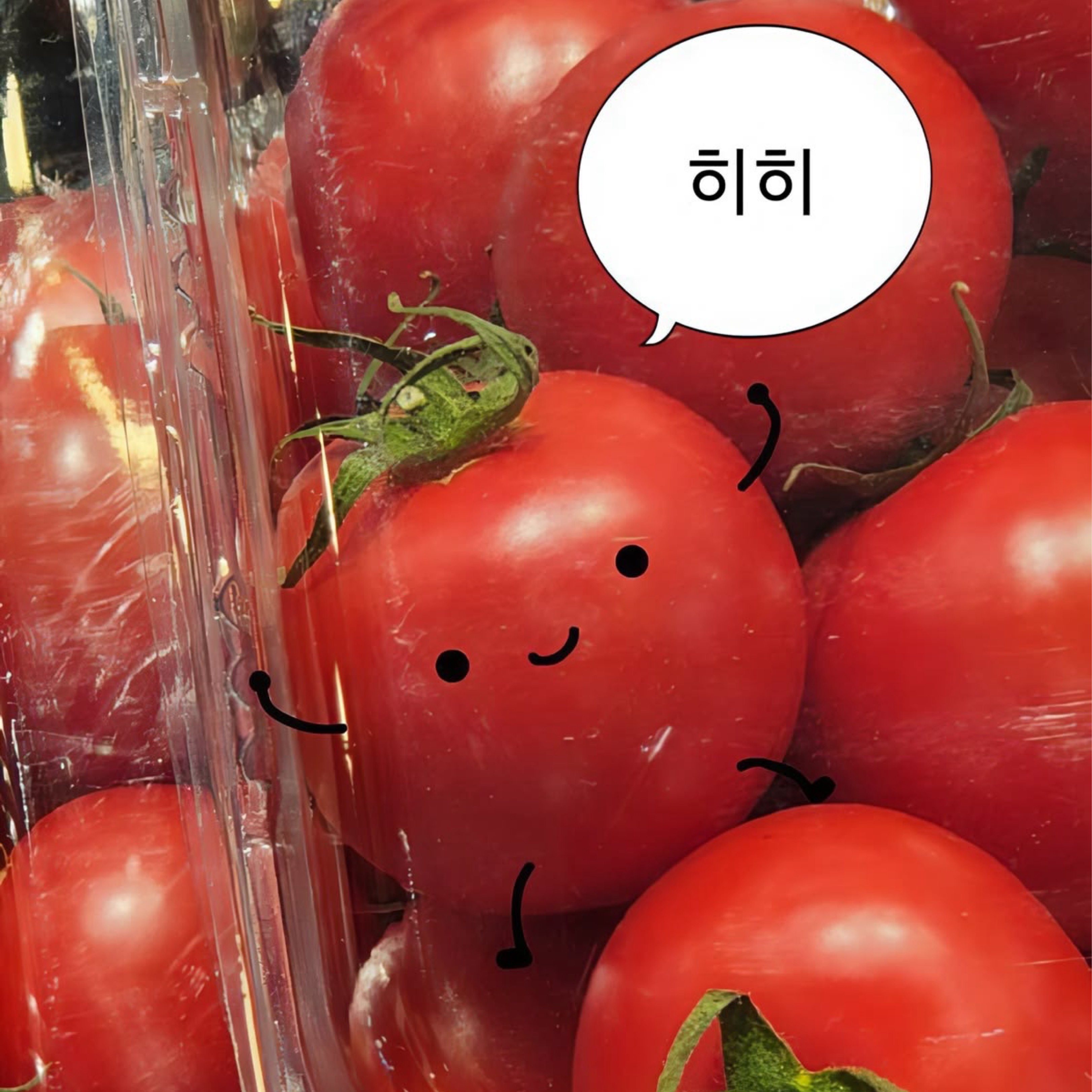 ❝ 도마도 ❞