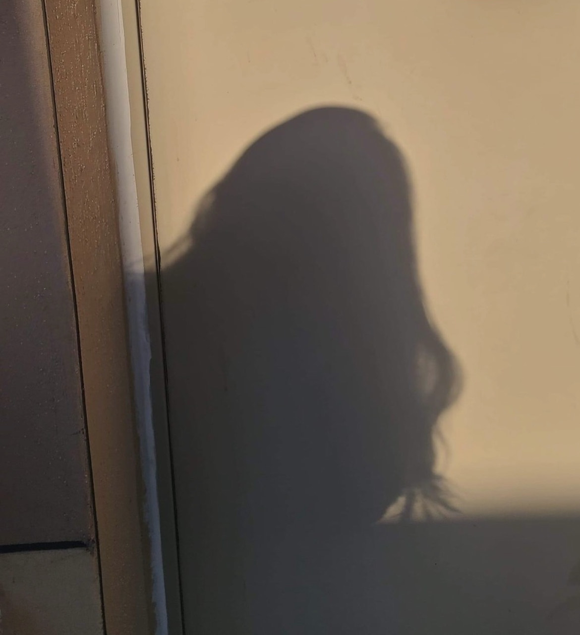 미 리 듣 기