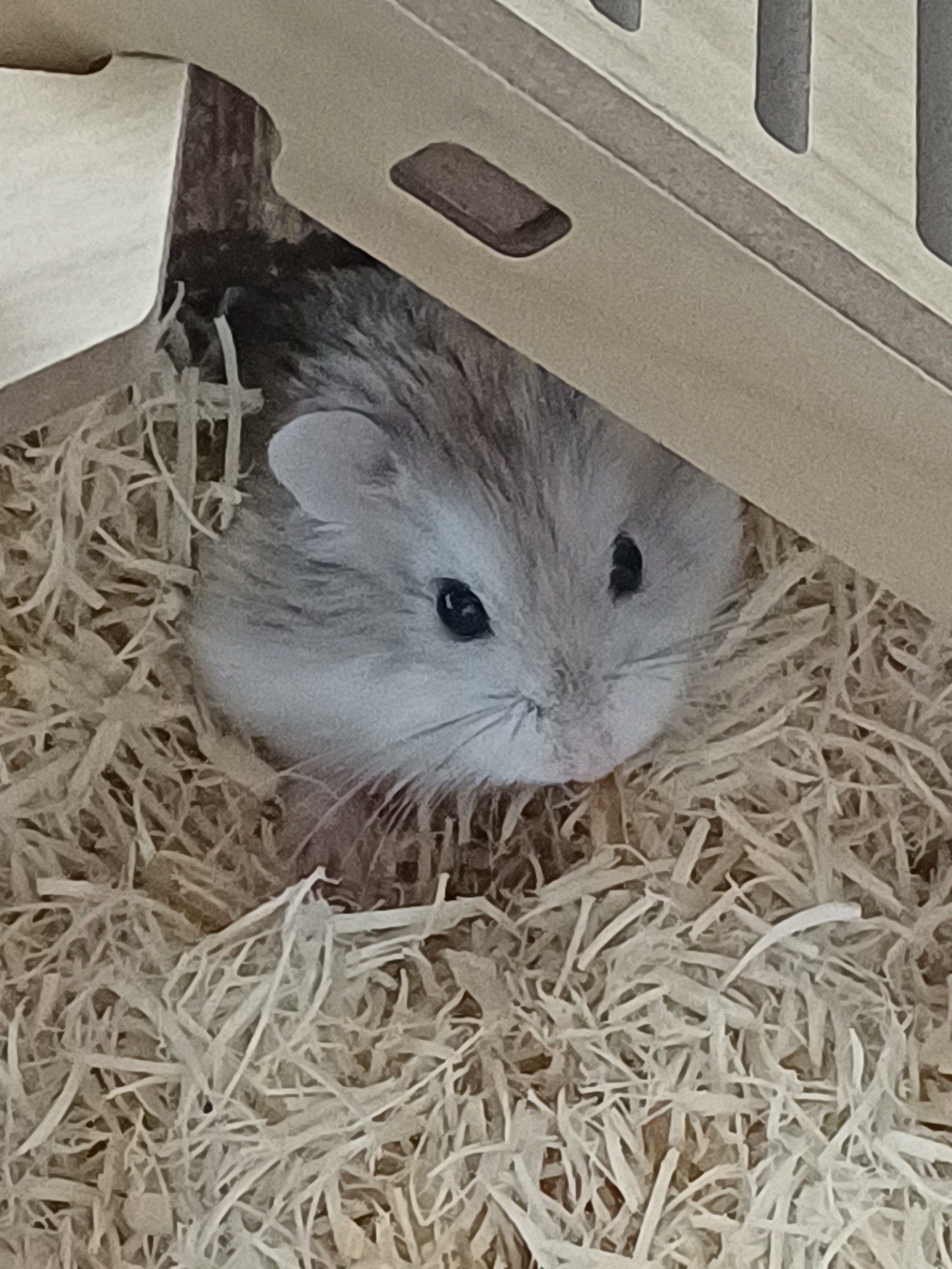 와서 놀아요~