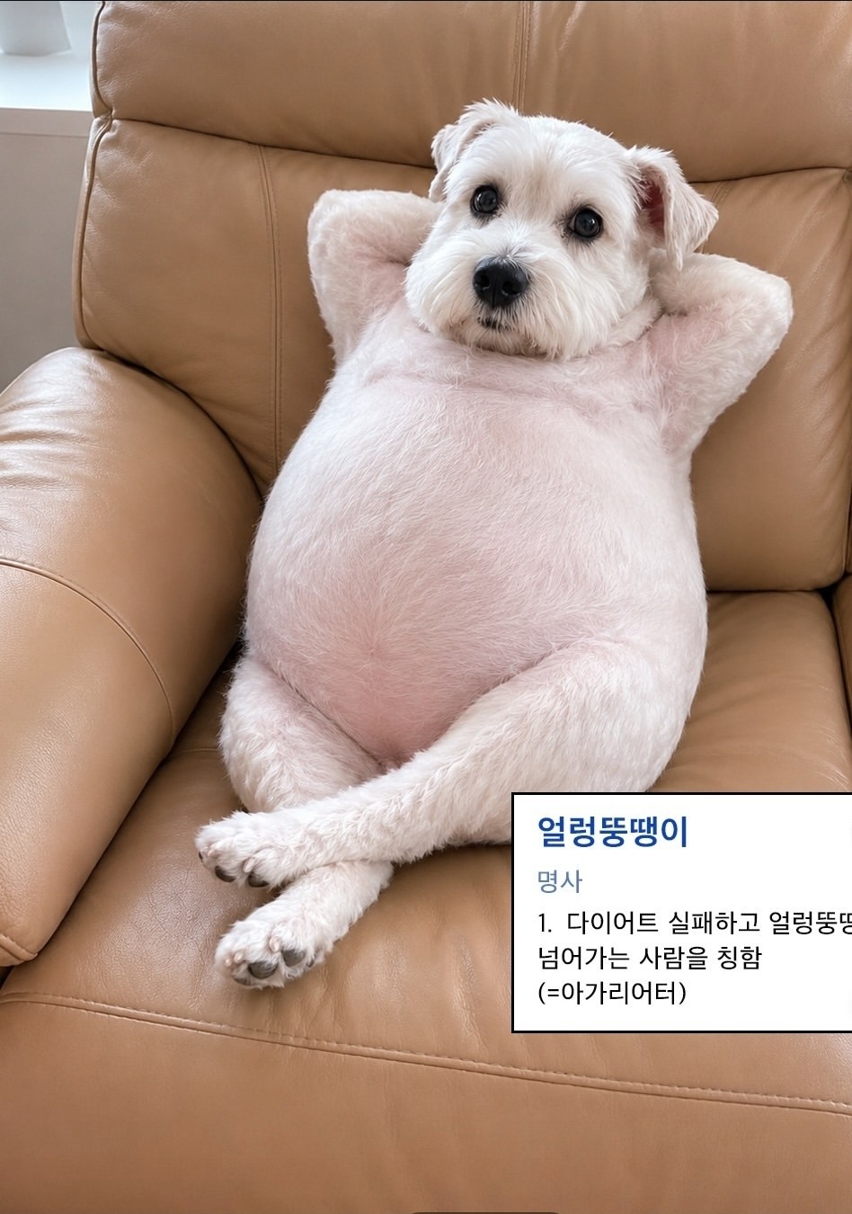 도파민에 절어졌어