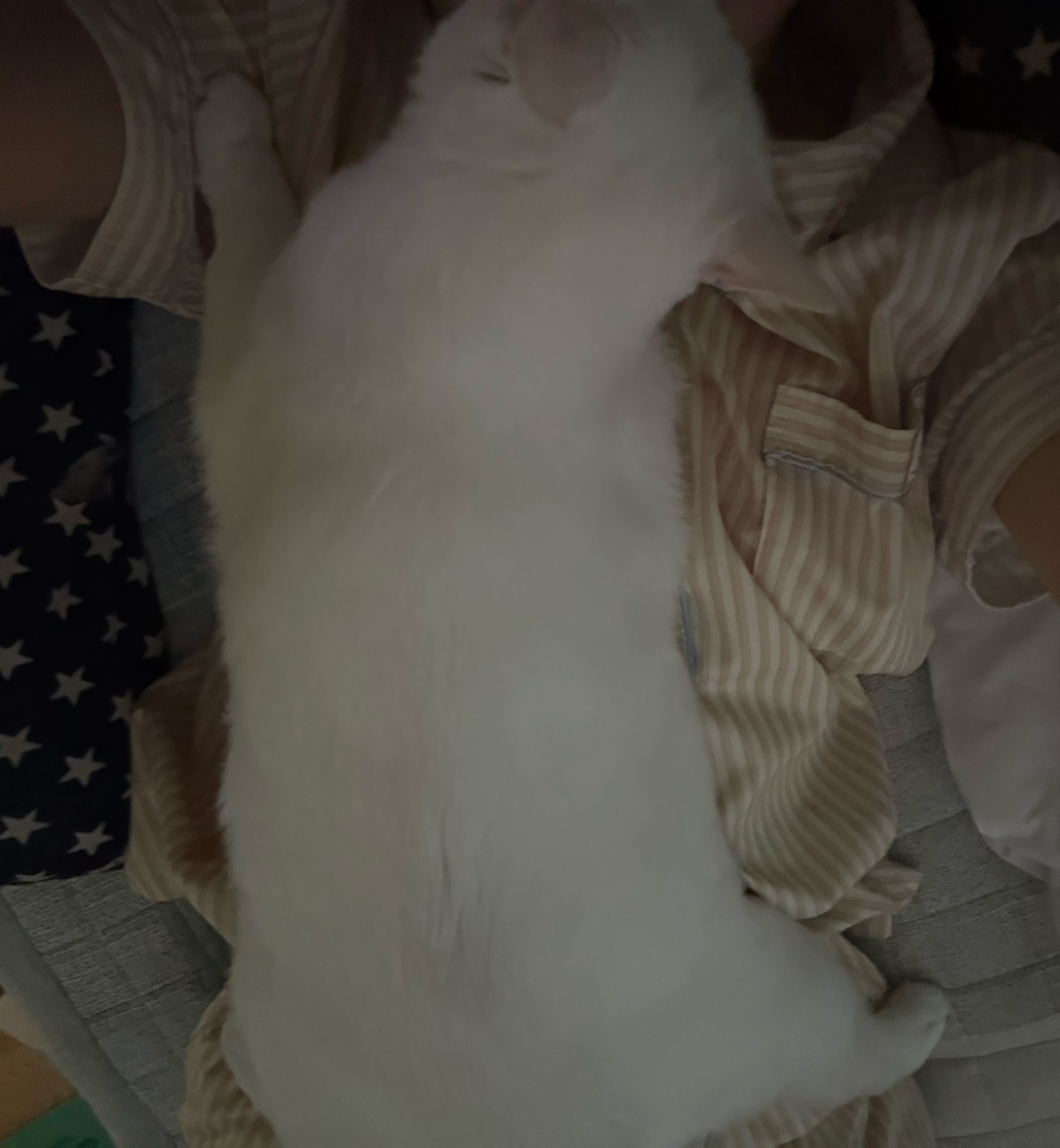 사랑하게 될 거야 ♡