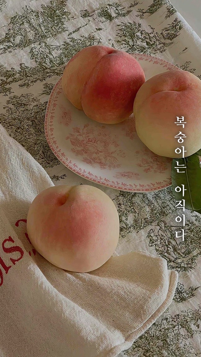 묘운☁️°⊹ 뜻밖의 서점📖