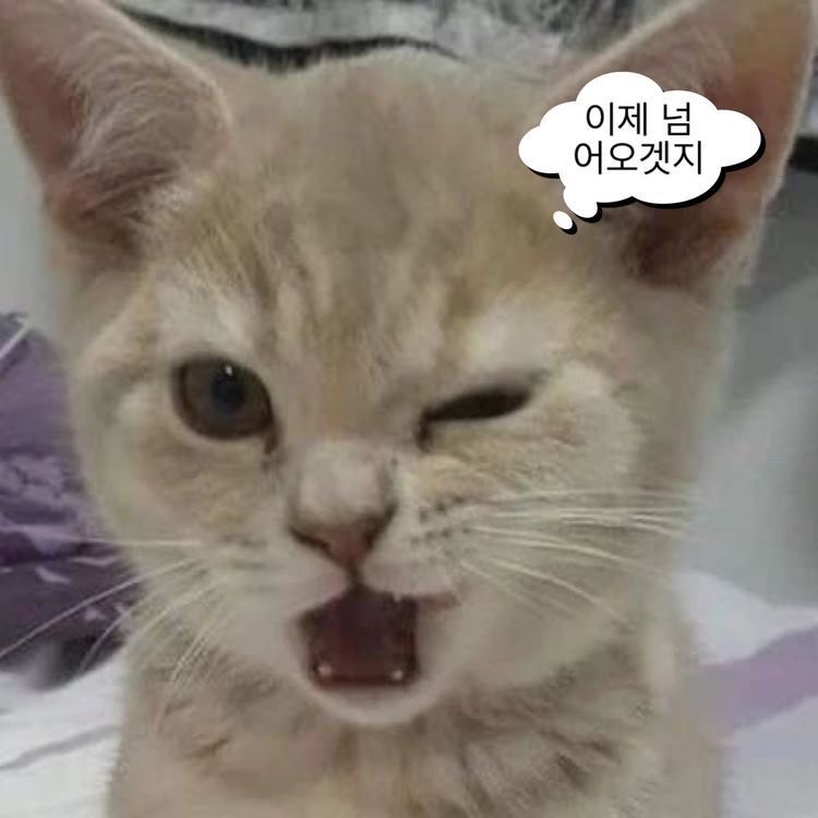 한시간만 -
