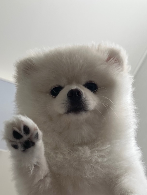 안농 난 꼬들.ᐟ