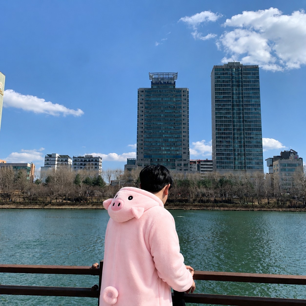 담좌 이코인