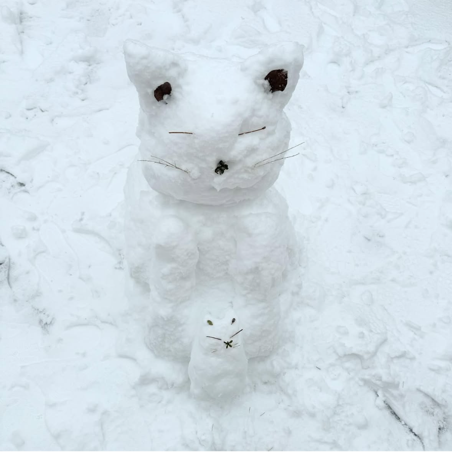 점심엔 타타야
