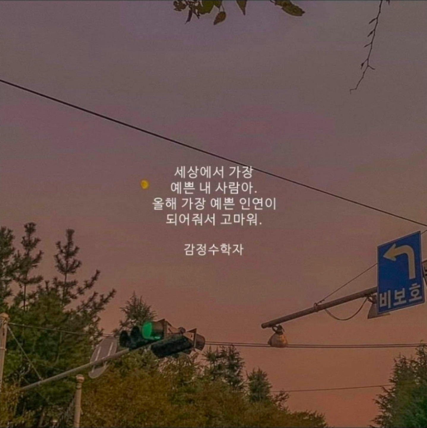 #플리 #잠방