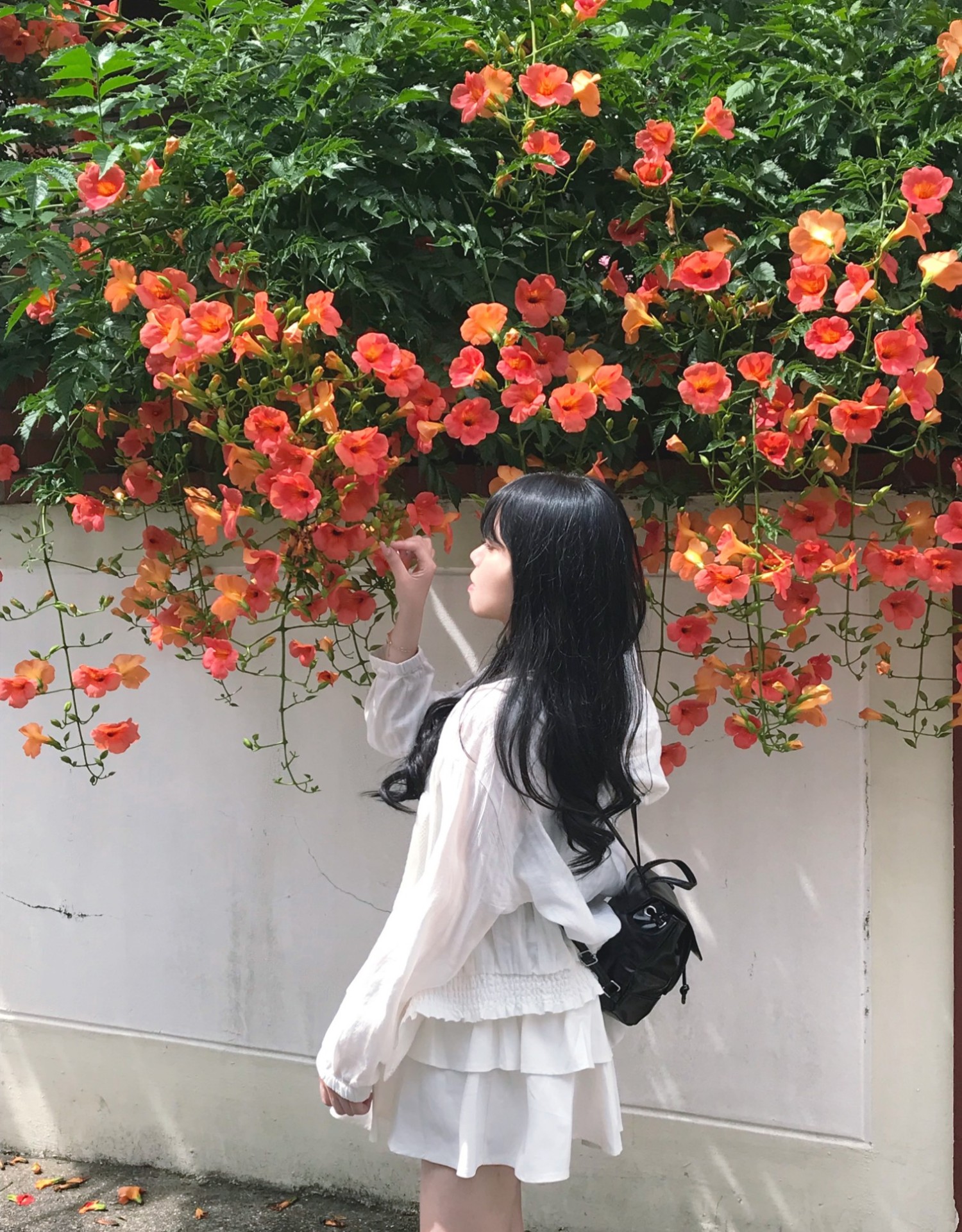 안녕하세오