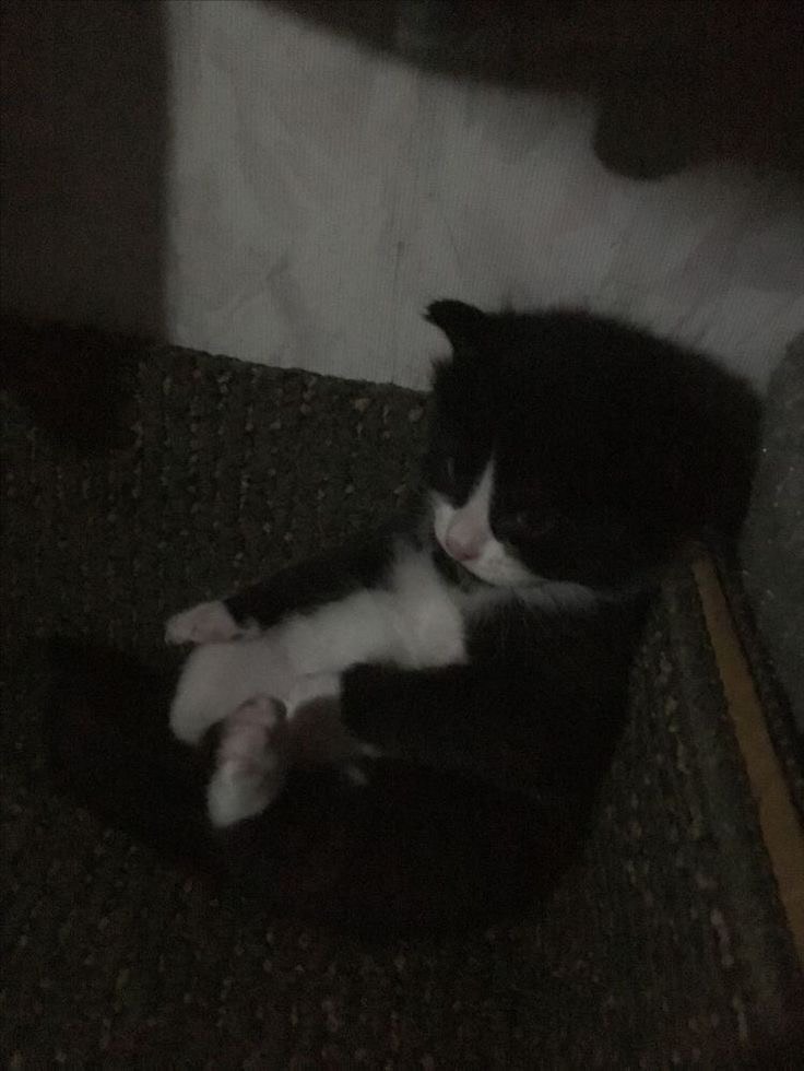 ….컁