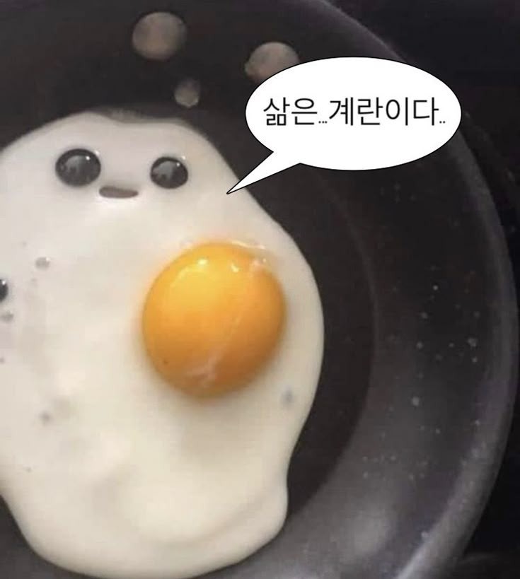 하람 방송권 [ 🫧 ]