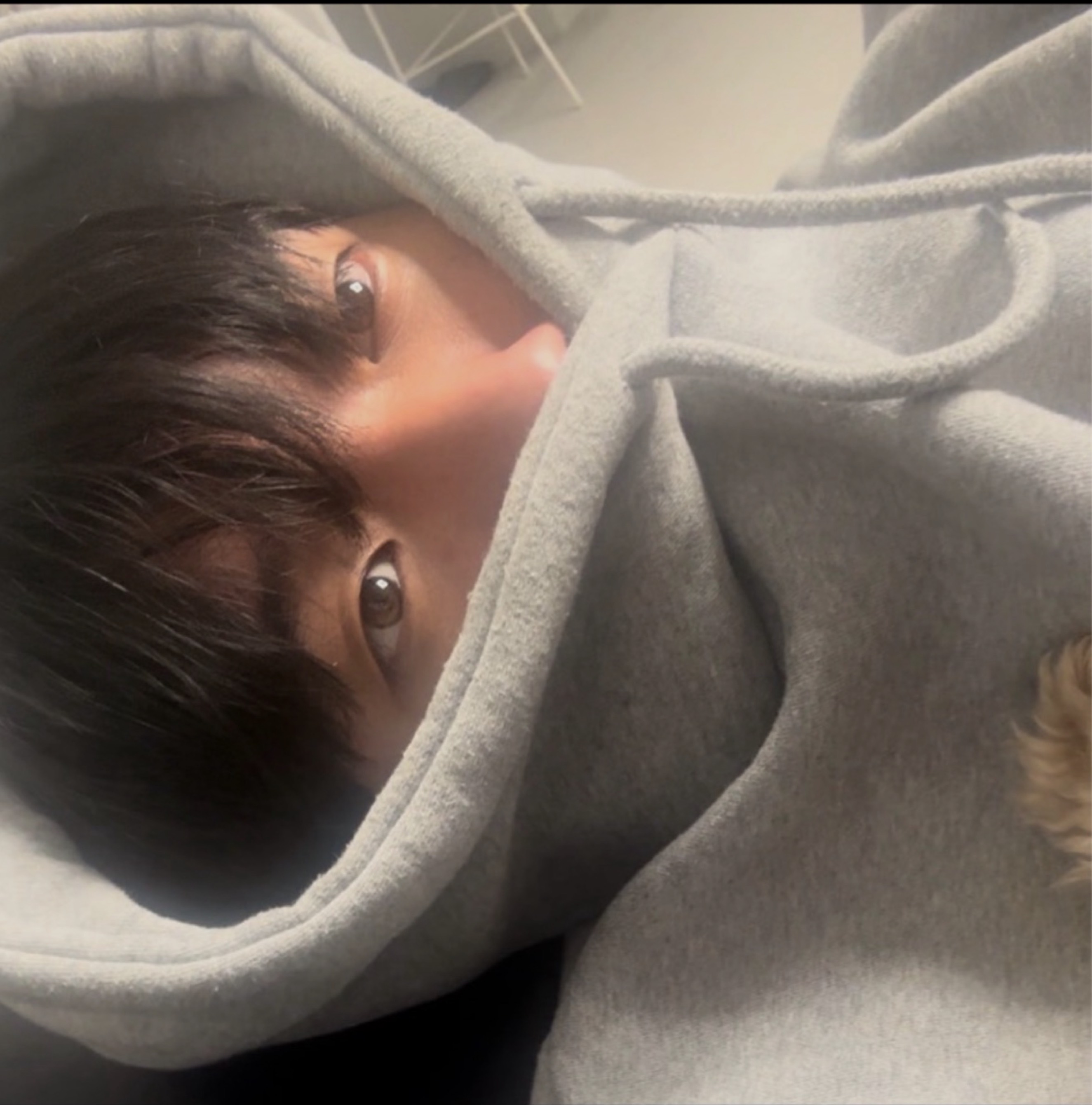 일하면서 듣기 좋은 중저음🍀