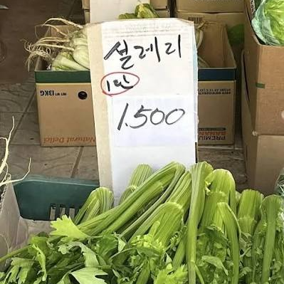 나지금무척설레리
