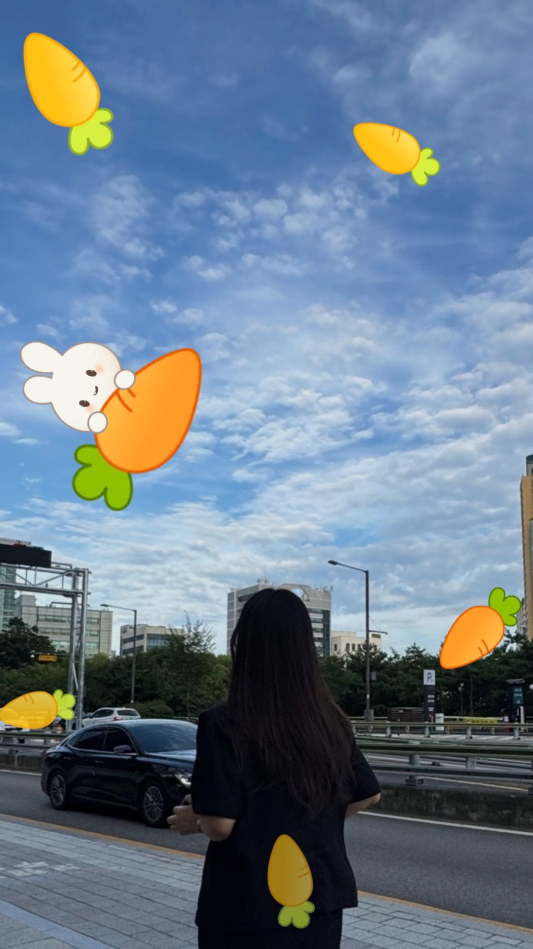 노래함나무,