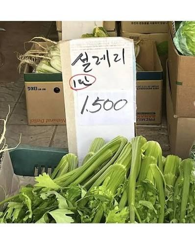 나지금무척설레리
