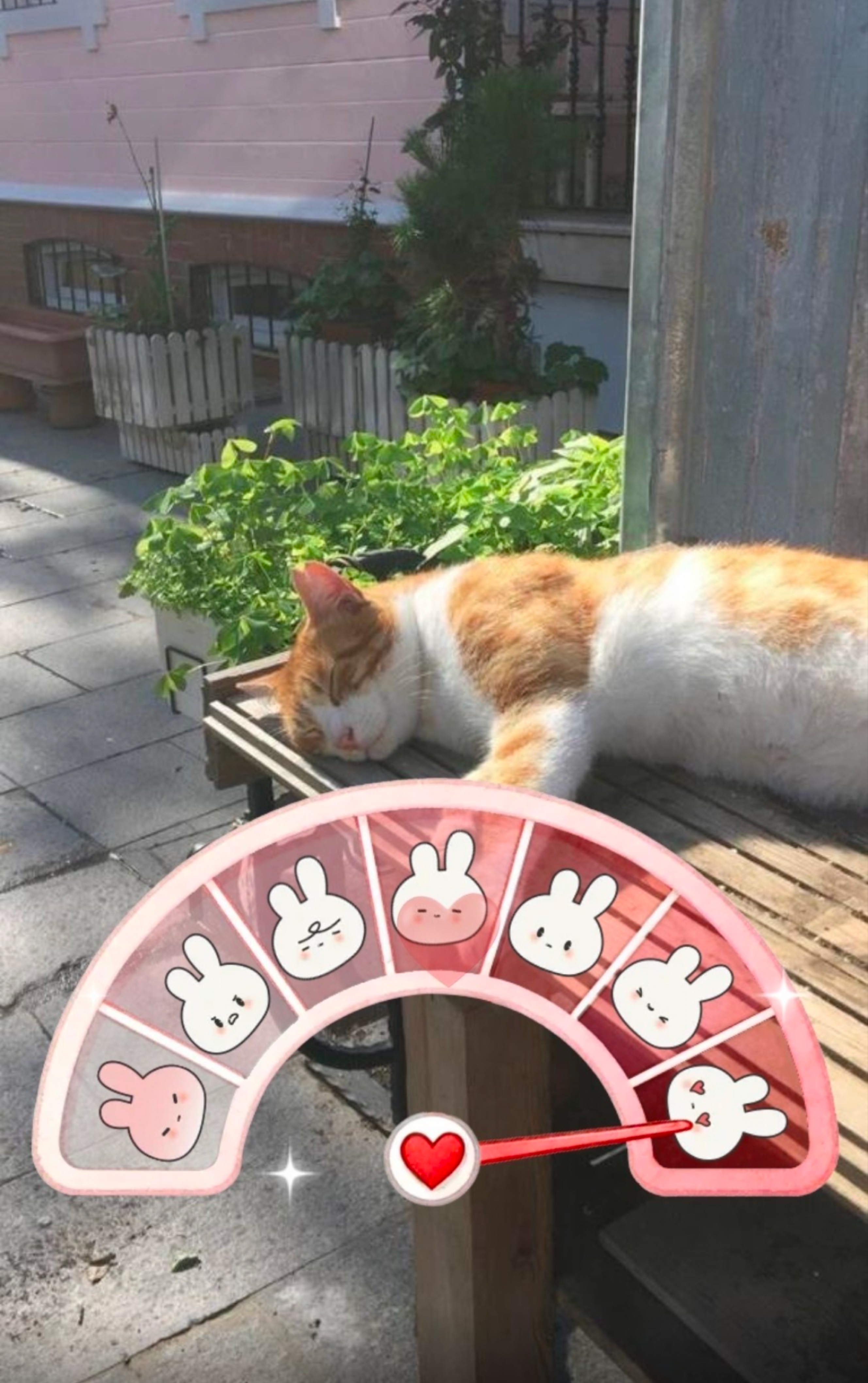 잔잔토크 다들어서오세요! 탐방환영🙇