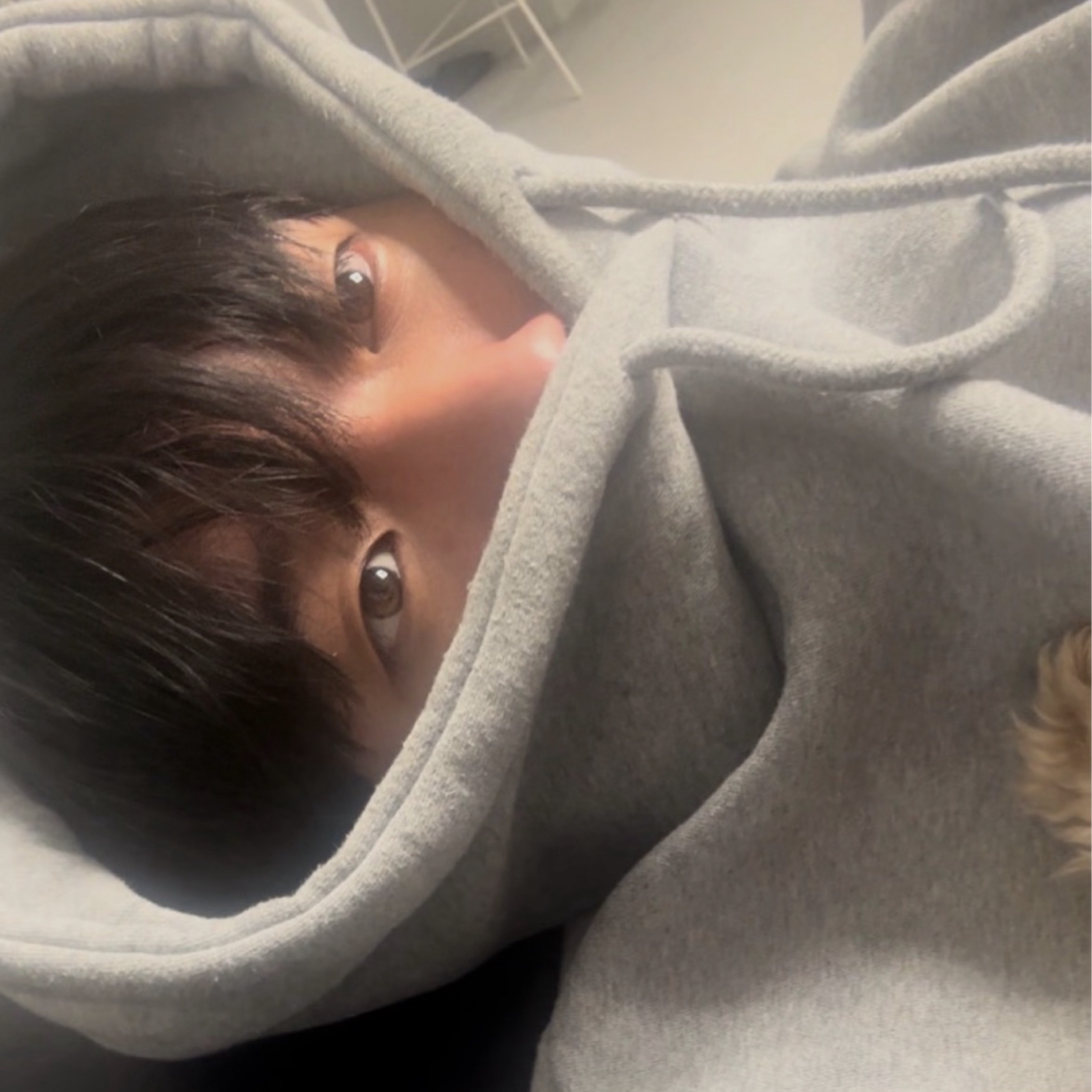 잔잔한 수면제 중저음🫠