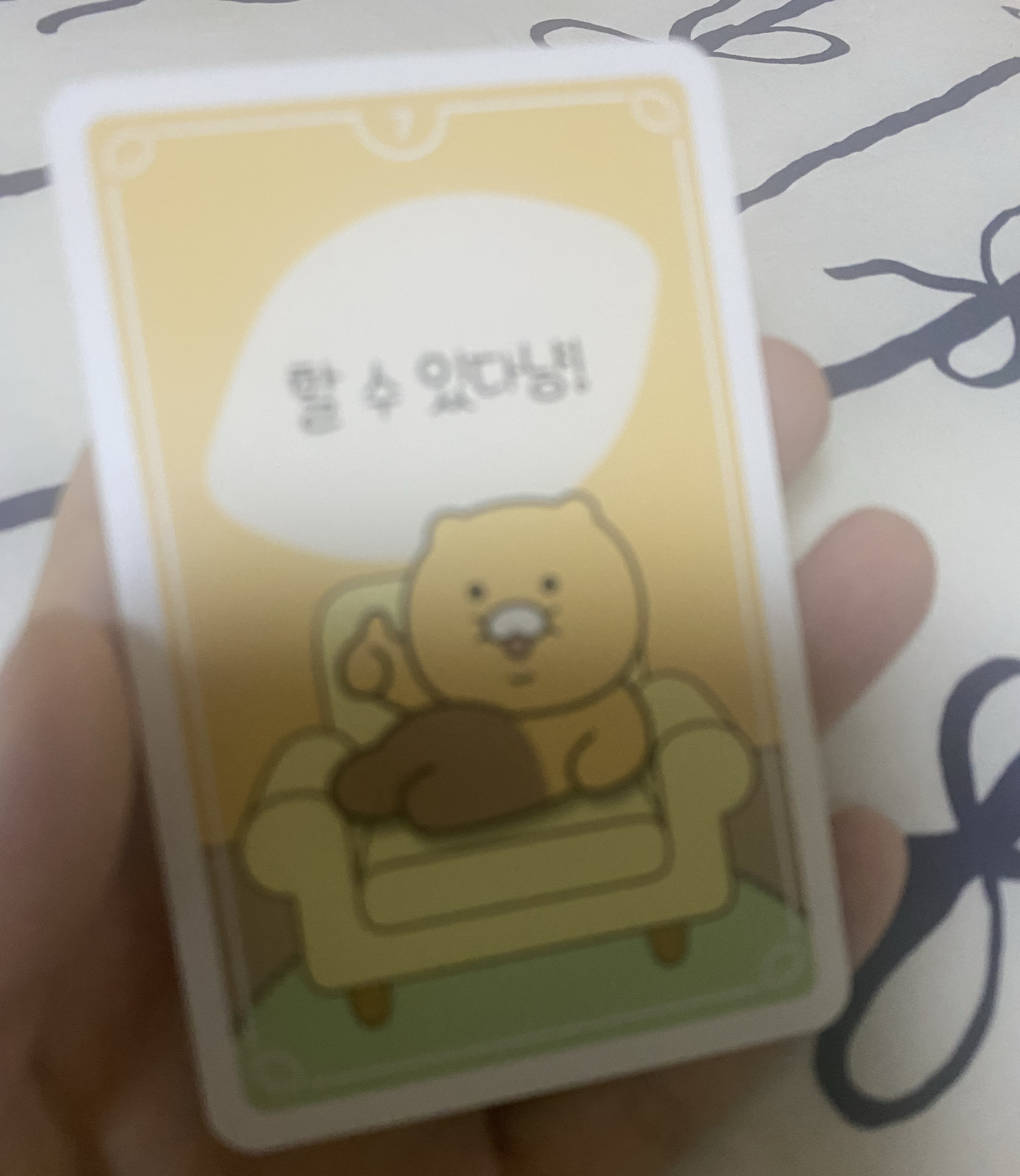 갱상도얼짱 𝙁𝙈.𝟭 / 하꼬 키워줘