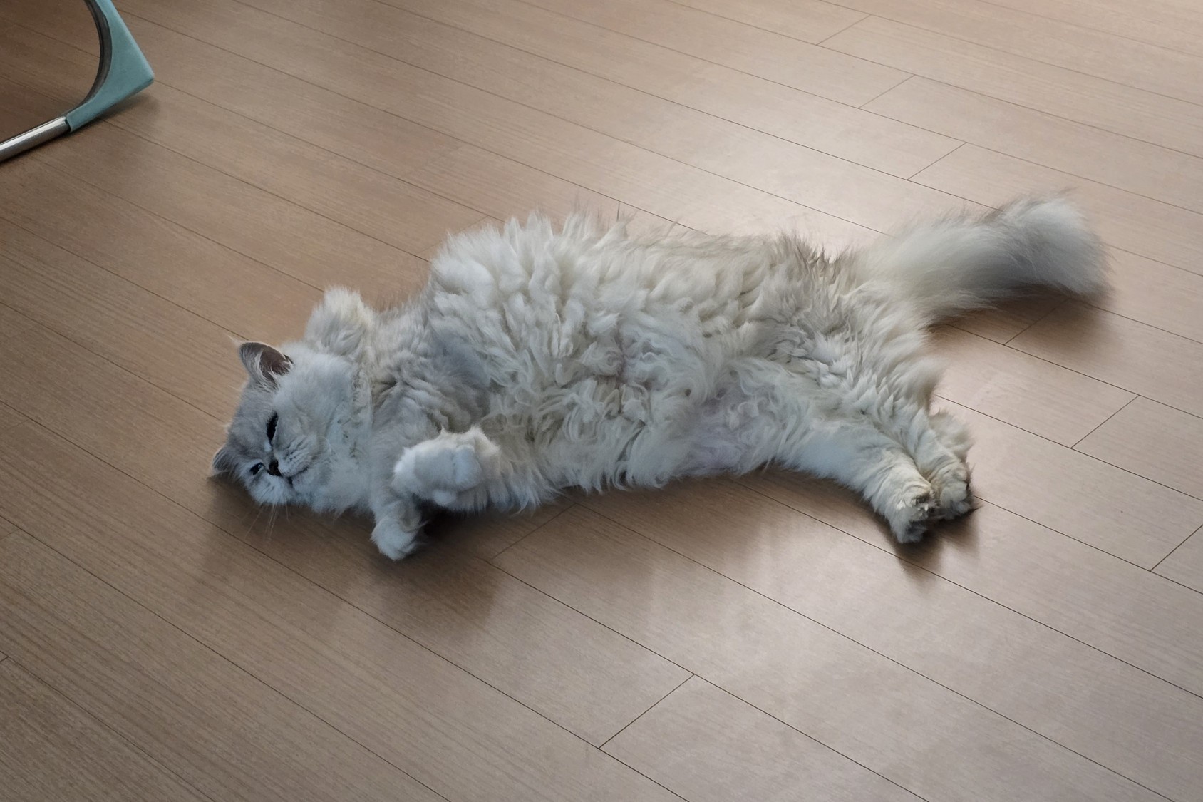 그 외로움을 내가 안아주겠다고
