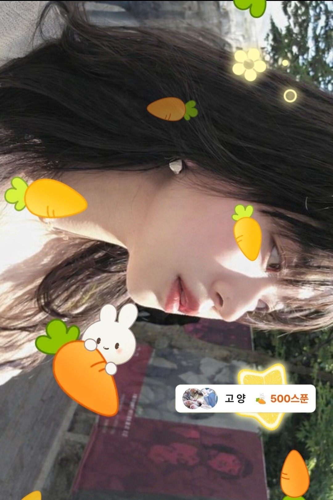 ❝ 여름 목소리  ❞