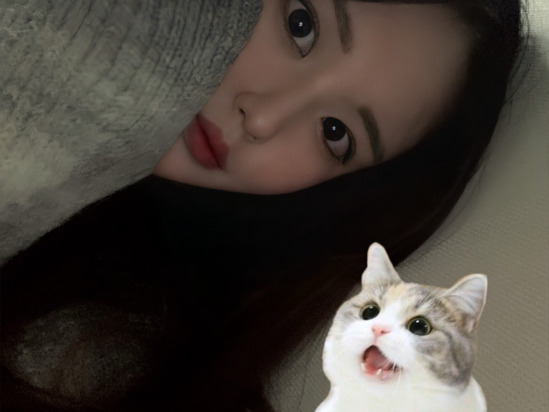 밤에 듣기 좋습니다.ᐟ