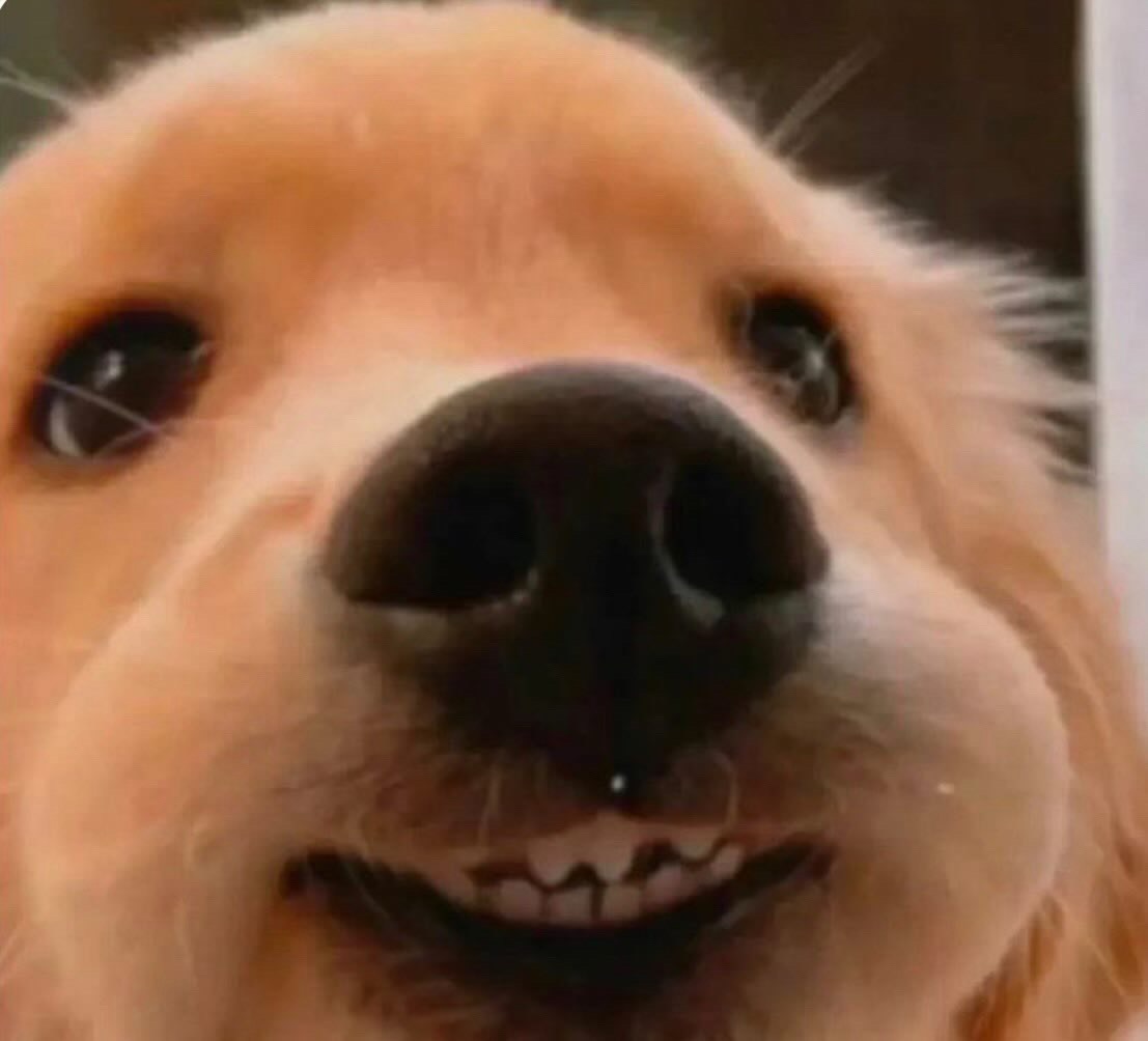 #들어오지마시요