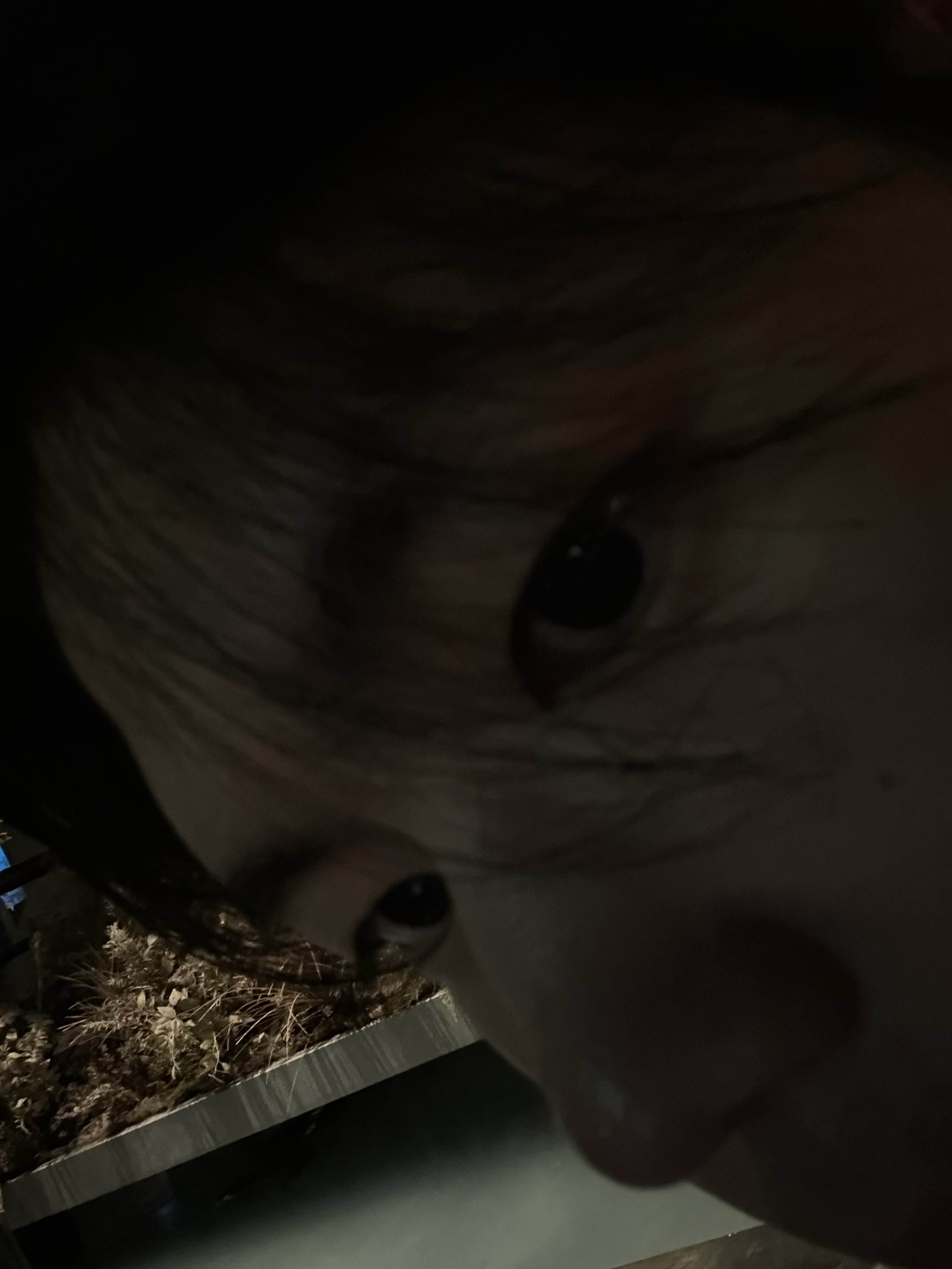 여성분 환영.