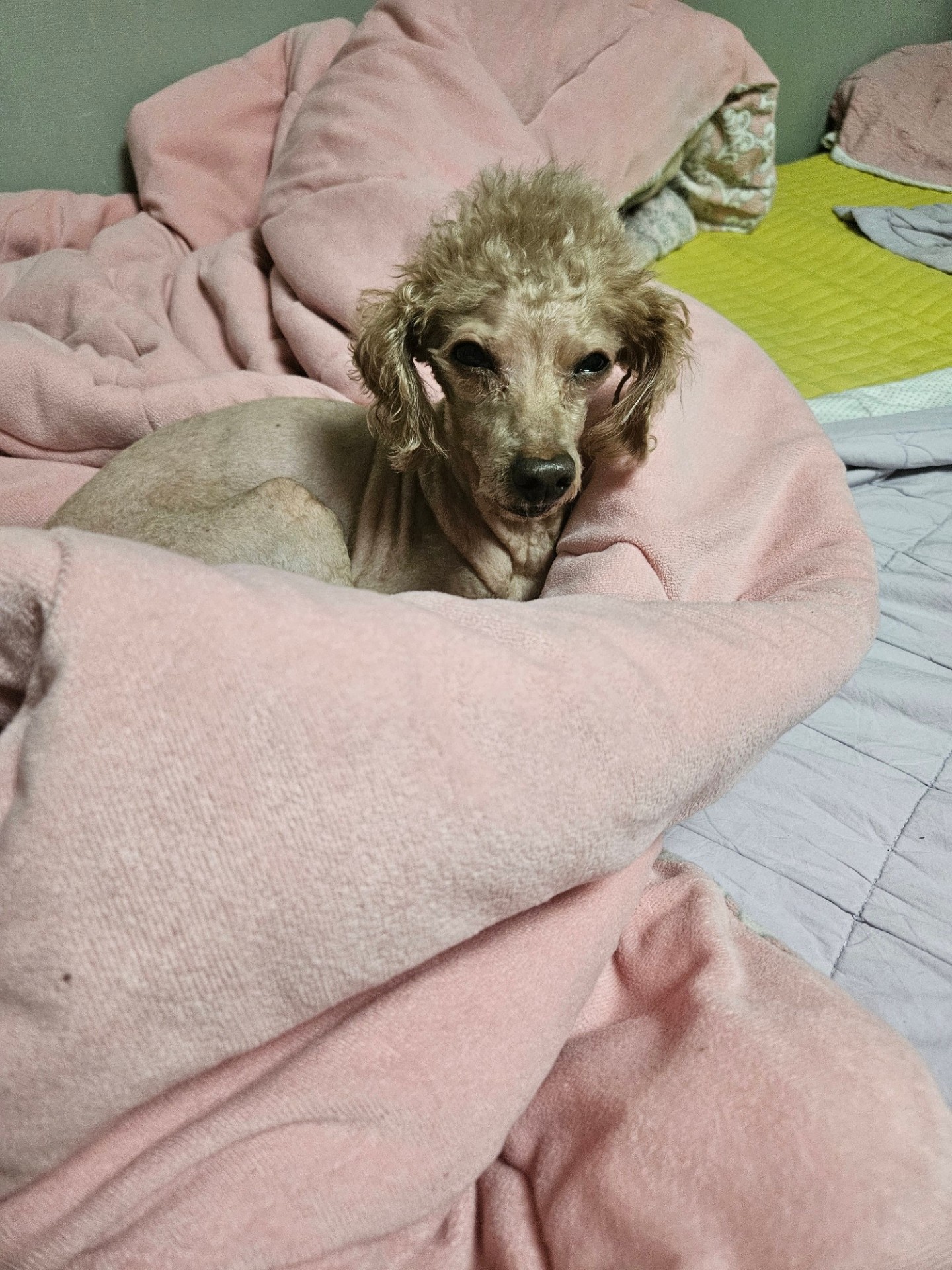 # 힘과 꾸망이 있는 방송