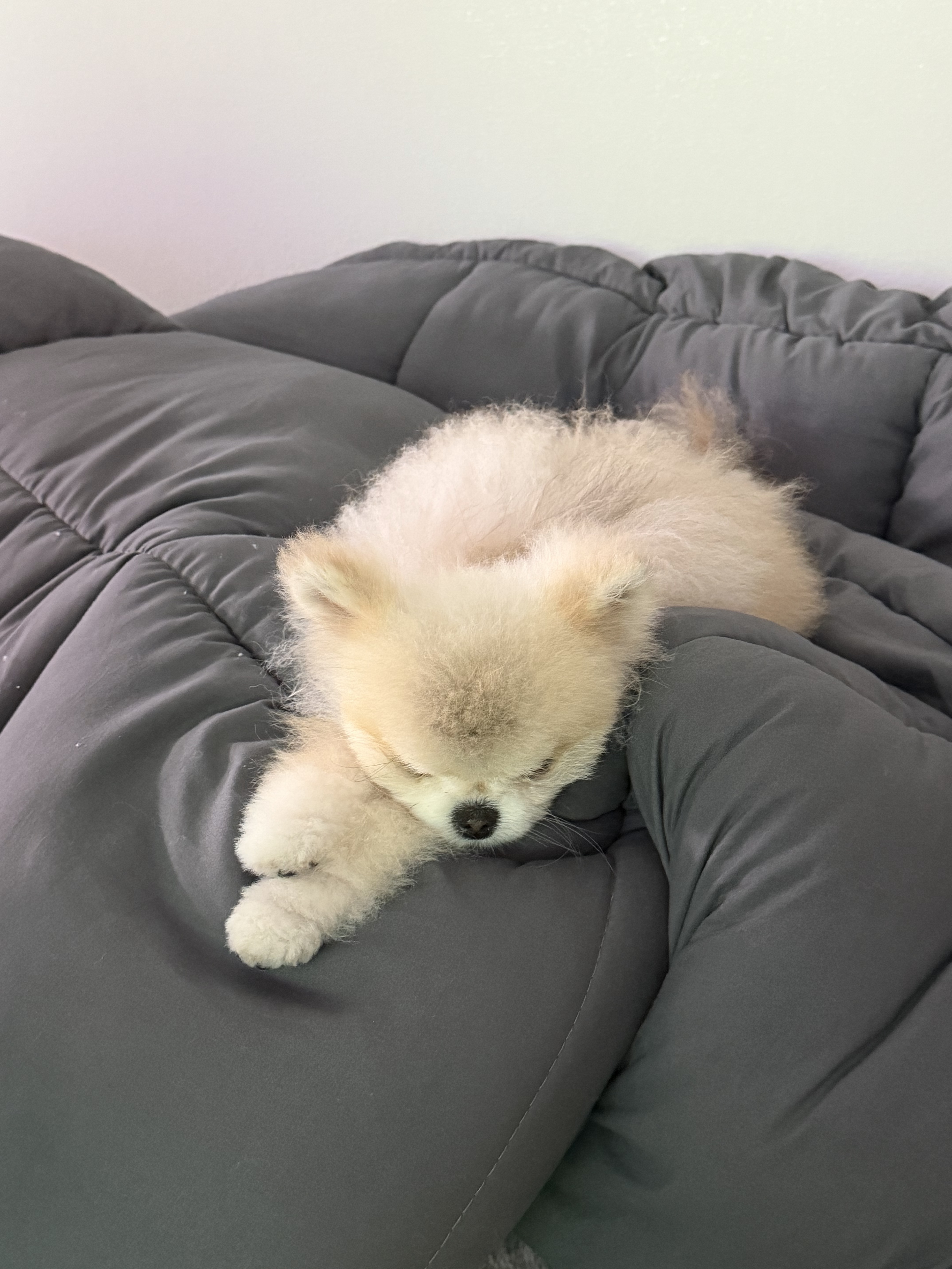 # 소 통