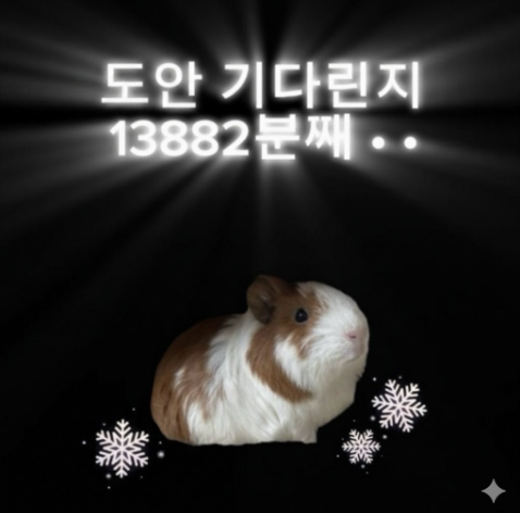도안을기다렷다면내노래를들어줘
