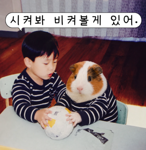 기니들아노래불러줄게