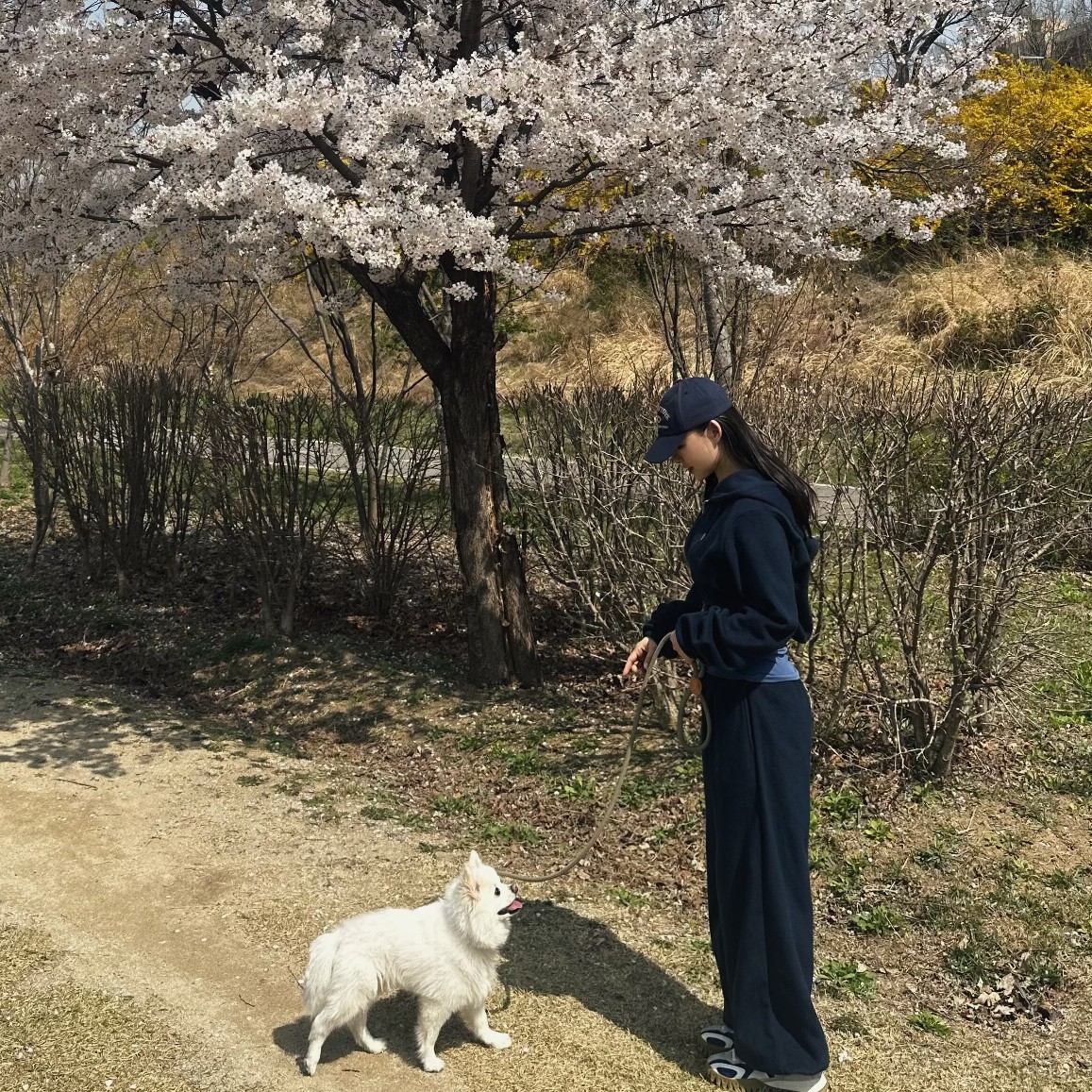 노동요