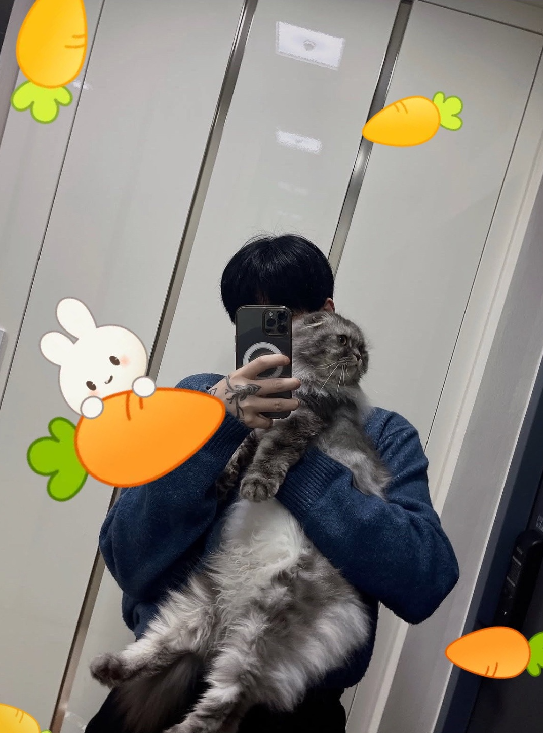 갈 곳 잃은 , 