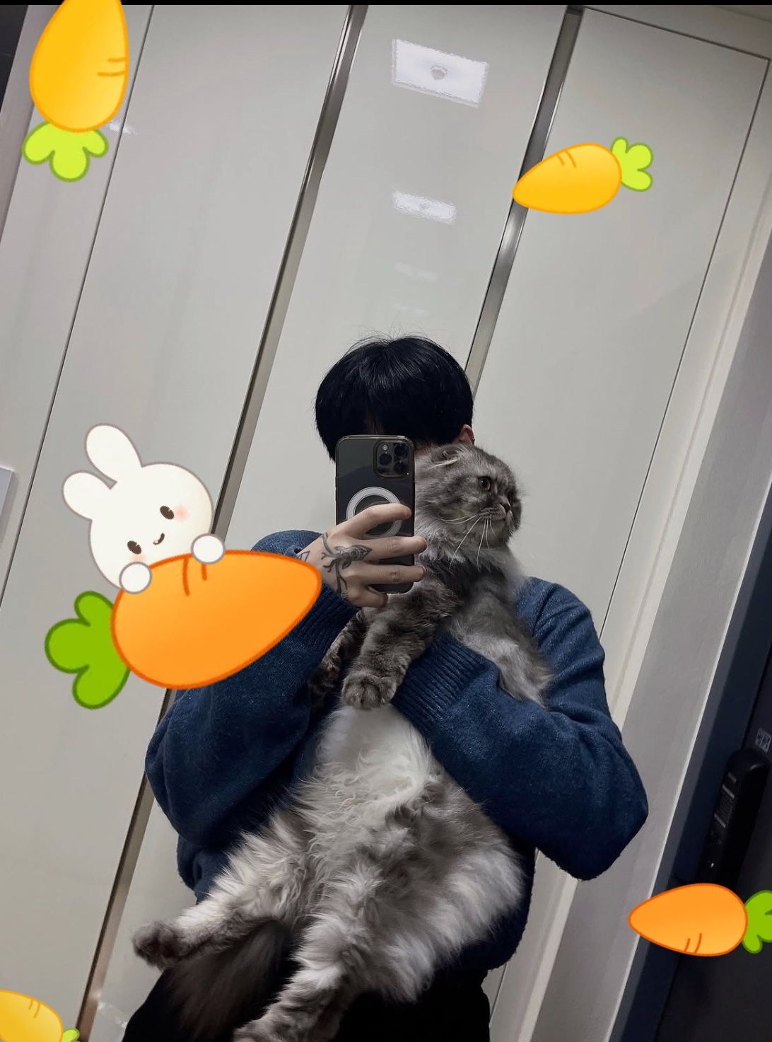 갈 곳 잃은 , 