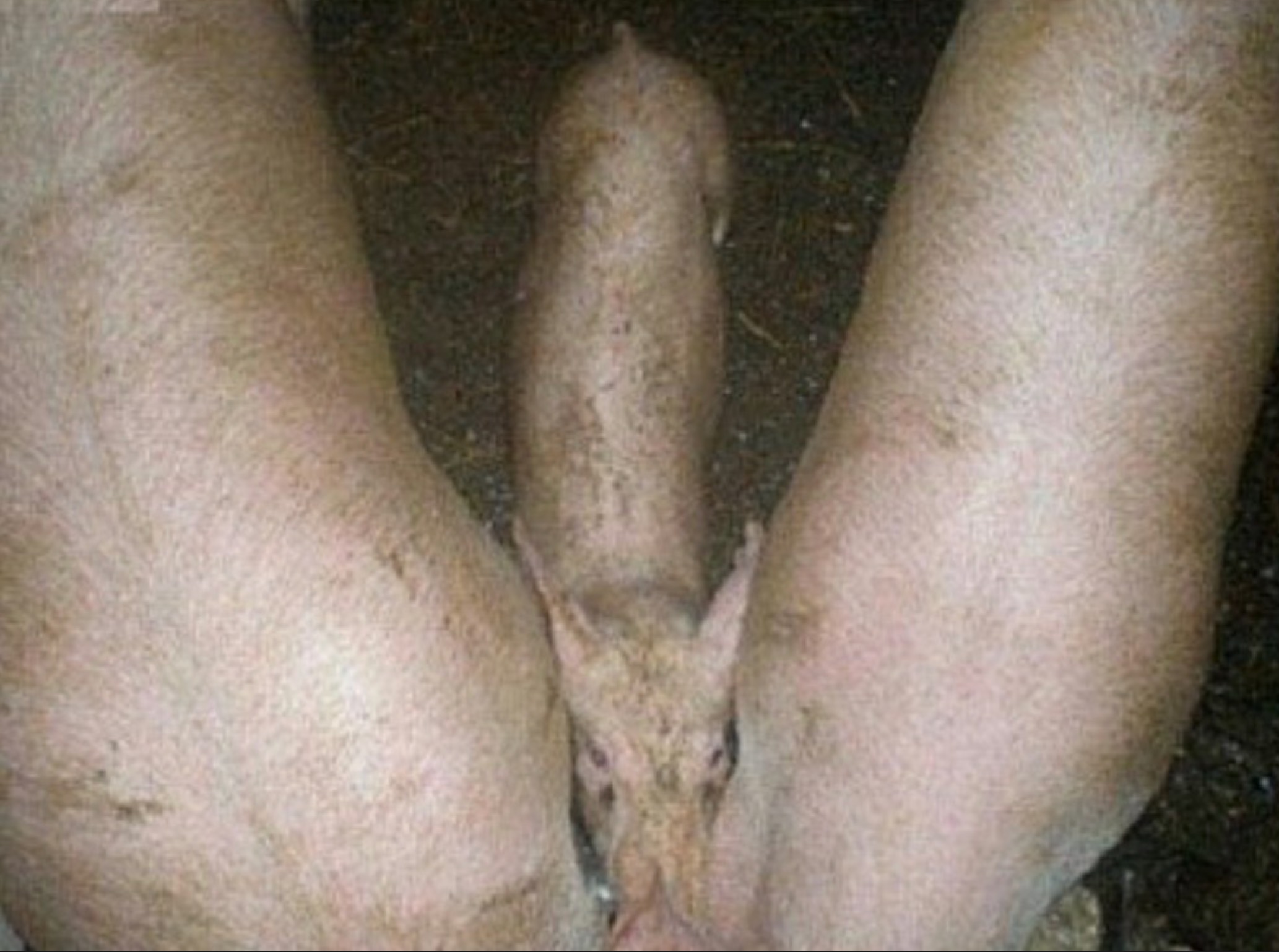토욜밤에.