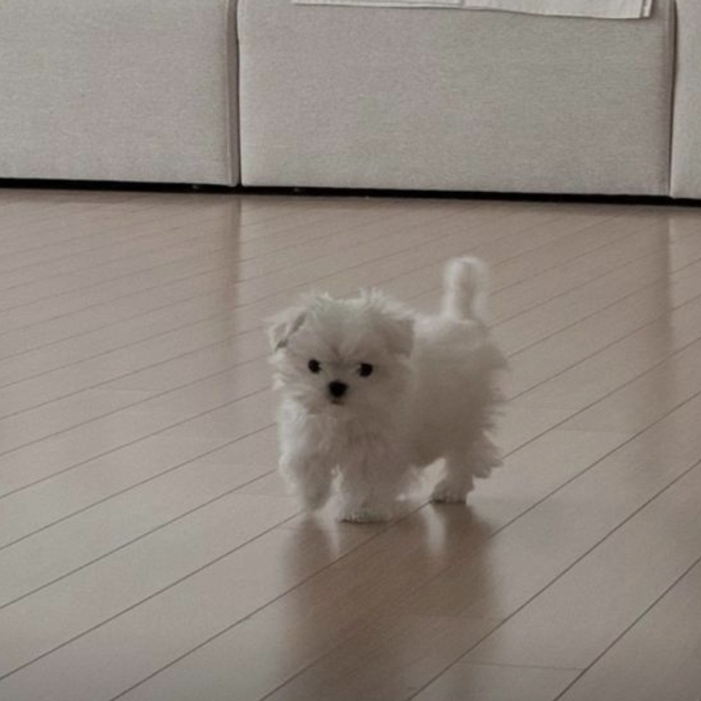 사랑이란 뭘까?