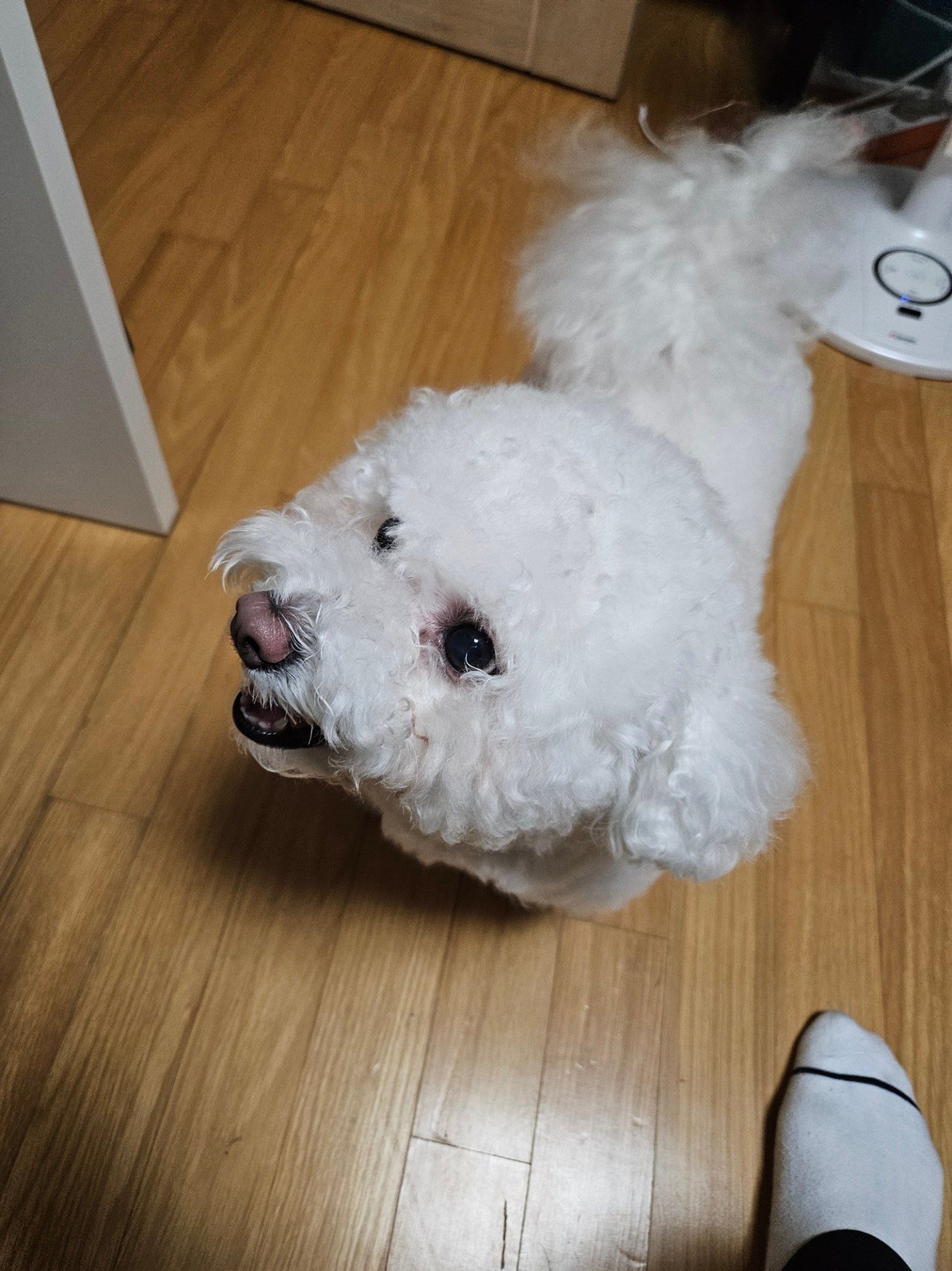 일 중