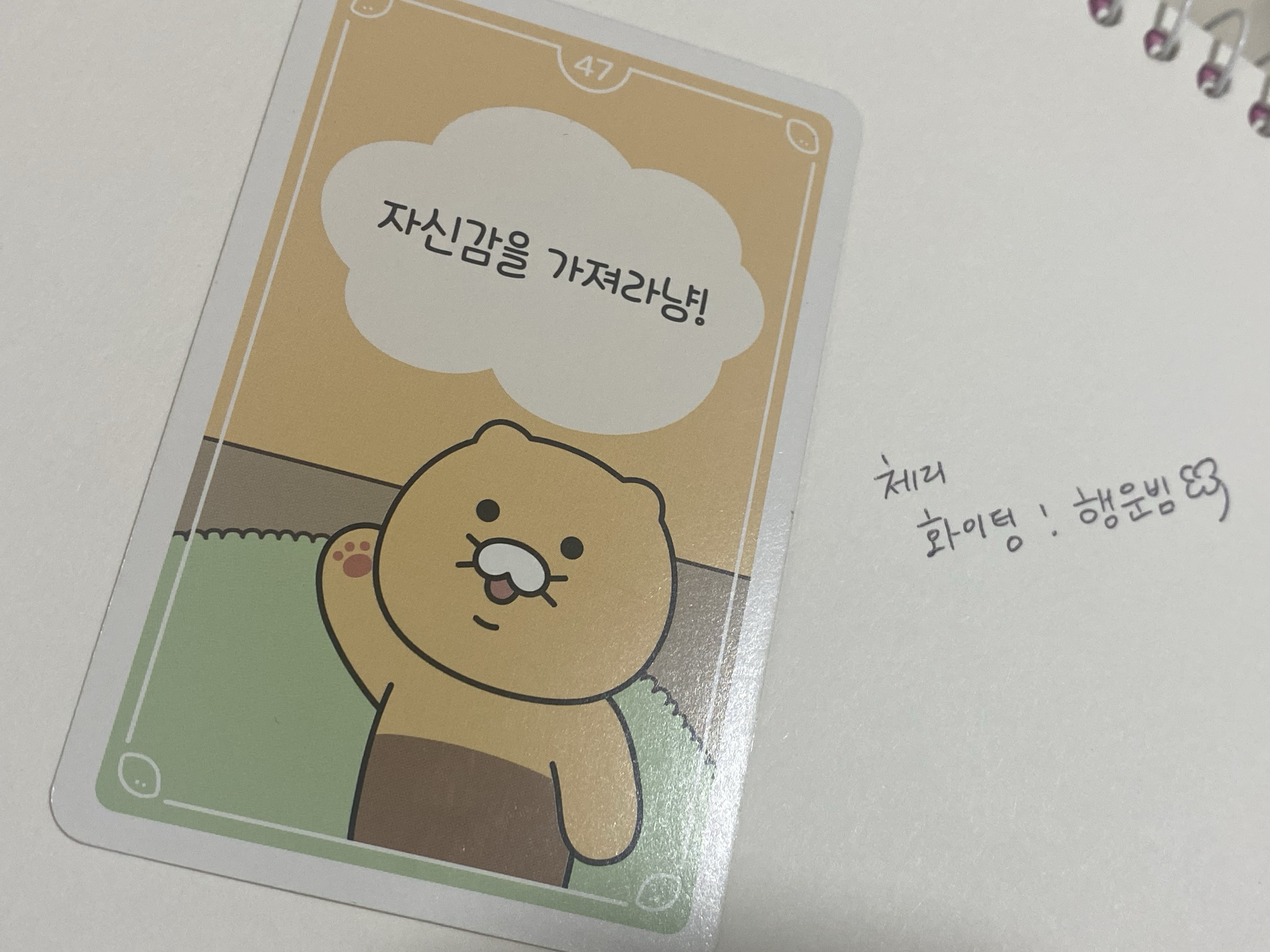 앙춘식 해결카드 