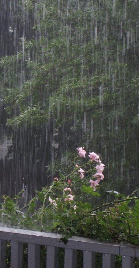 ☂︎ ⠀  ⠀ 