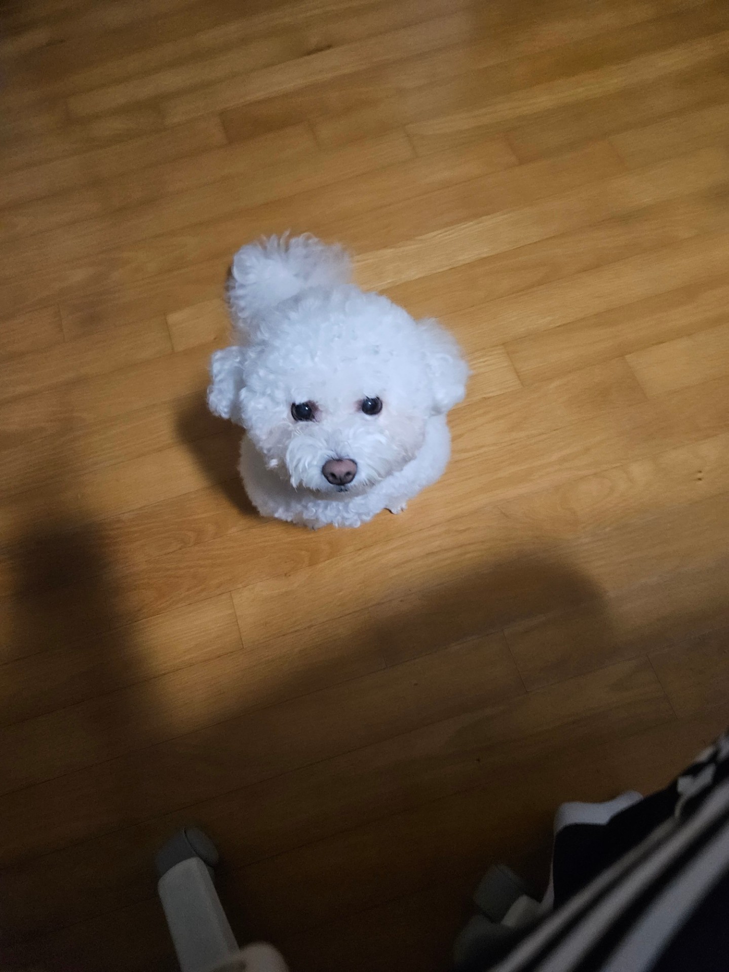 일 중