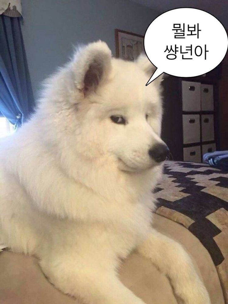 깨워주세요