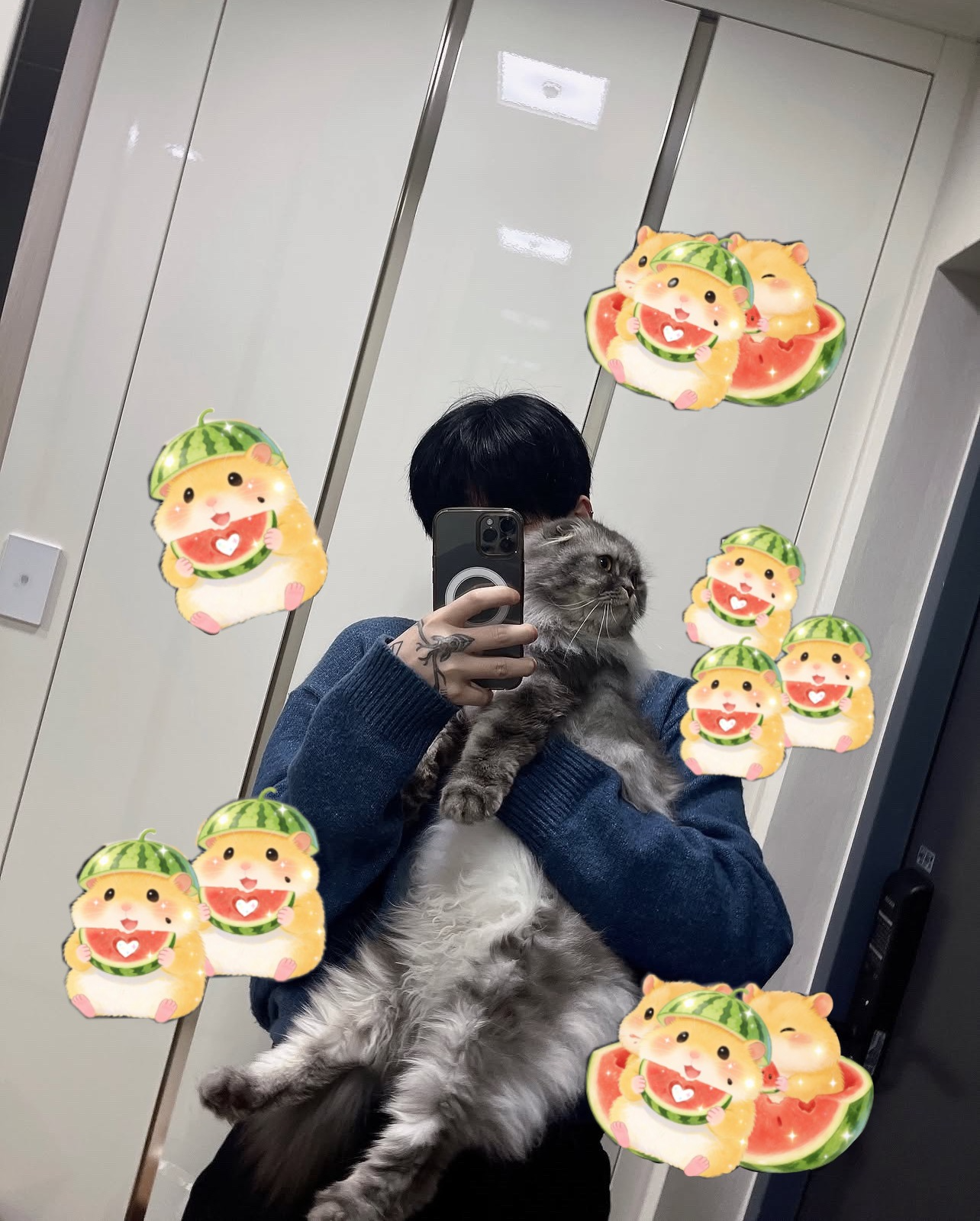 갈 곳 잃은 , 