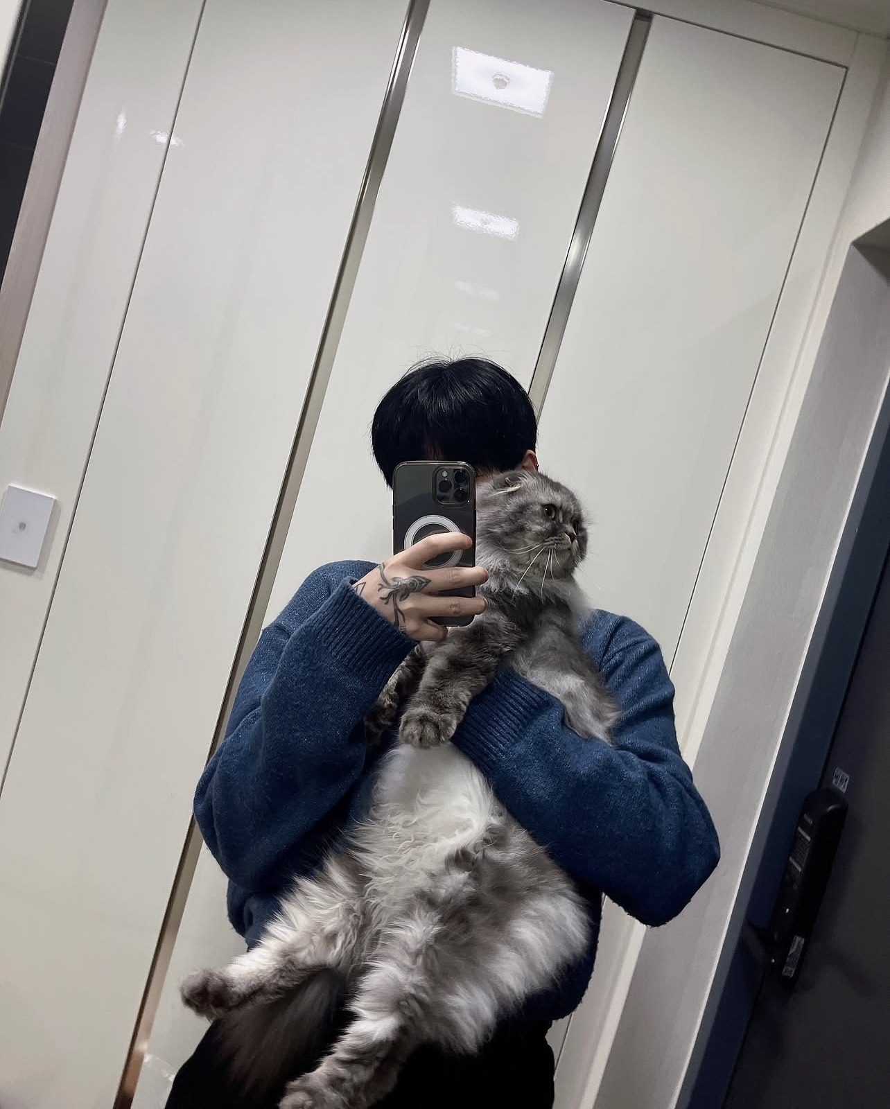 갈 곳 잃은 , 