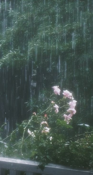𝘭𝘦𝘵 𝘫𝘶𝘭𝘺 𝘣𝘦 𝘫𝘶𝘭𝘺